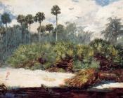 温斯洛 荷默 : Florida Jungle